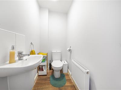 Picture 7